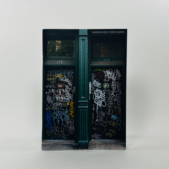 Various New York Doors #1