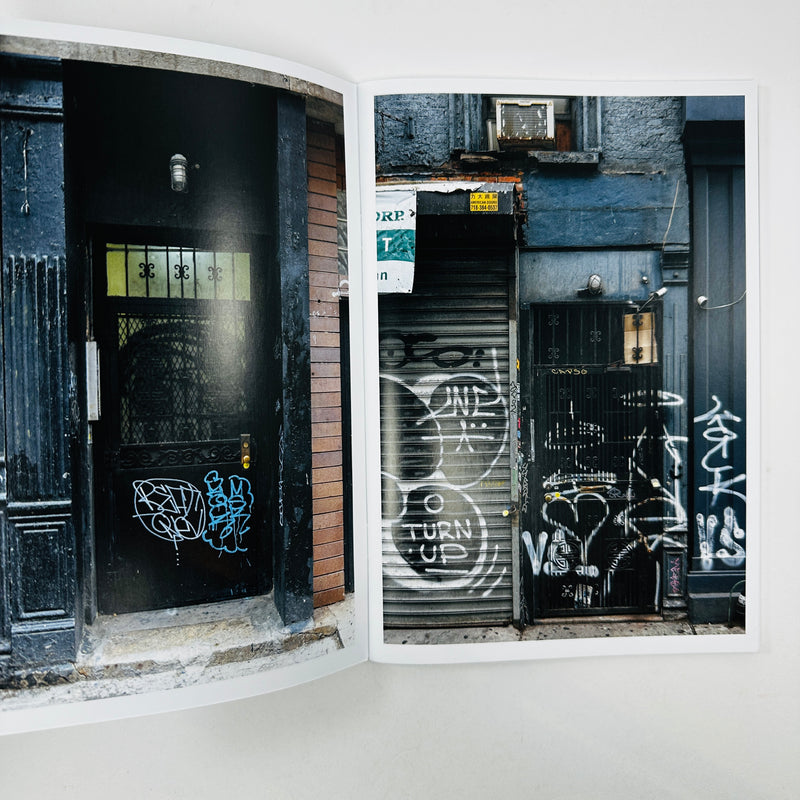 Various New York Doors #1