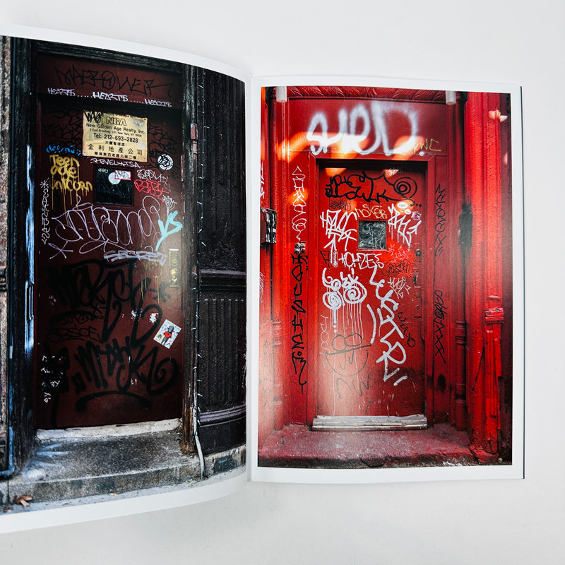 Various New York Doors #1