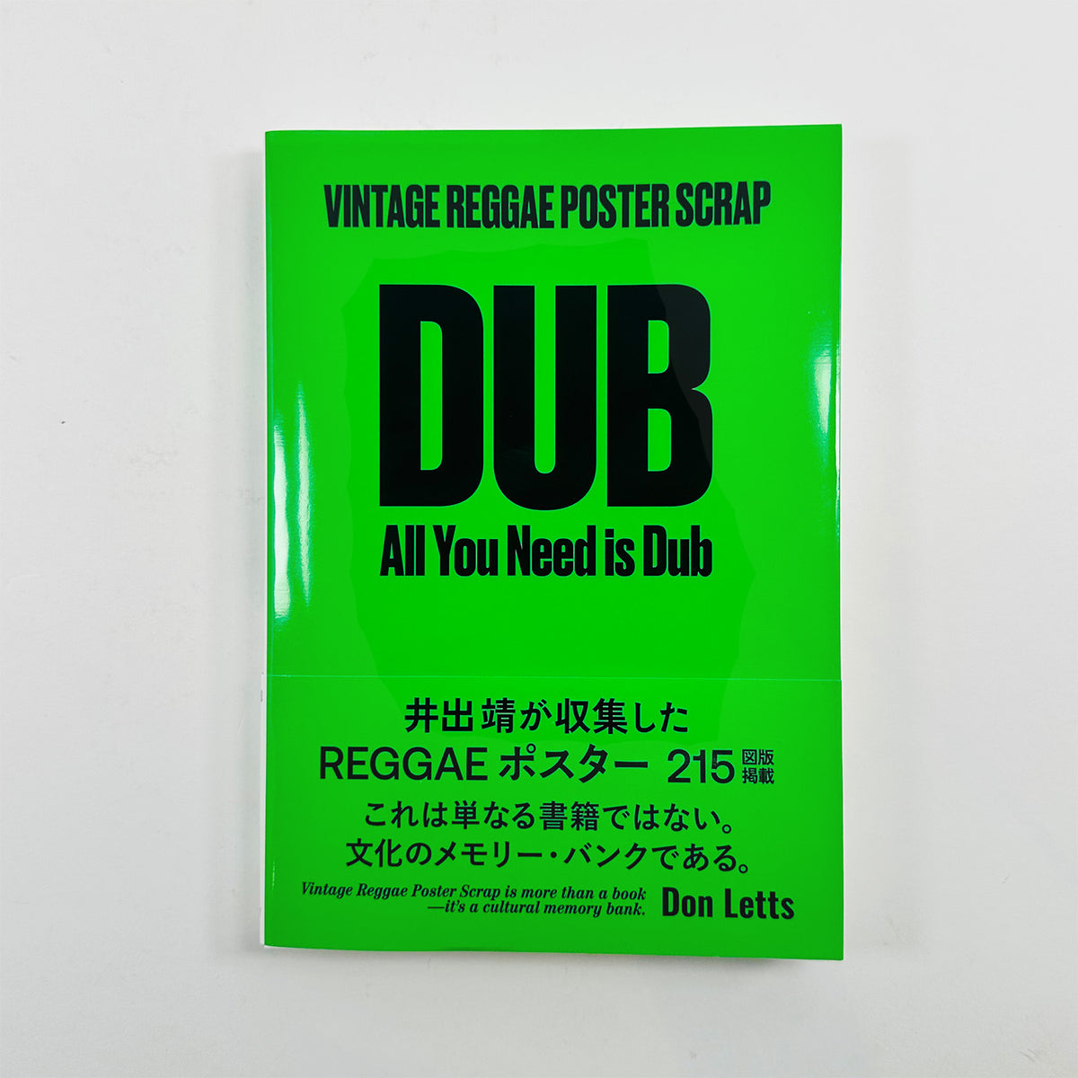 Vintage Reggae Poster Scrap - All You Need is Dub