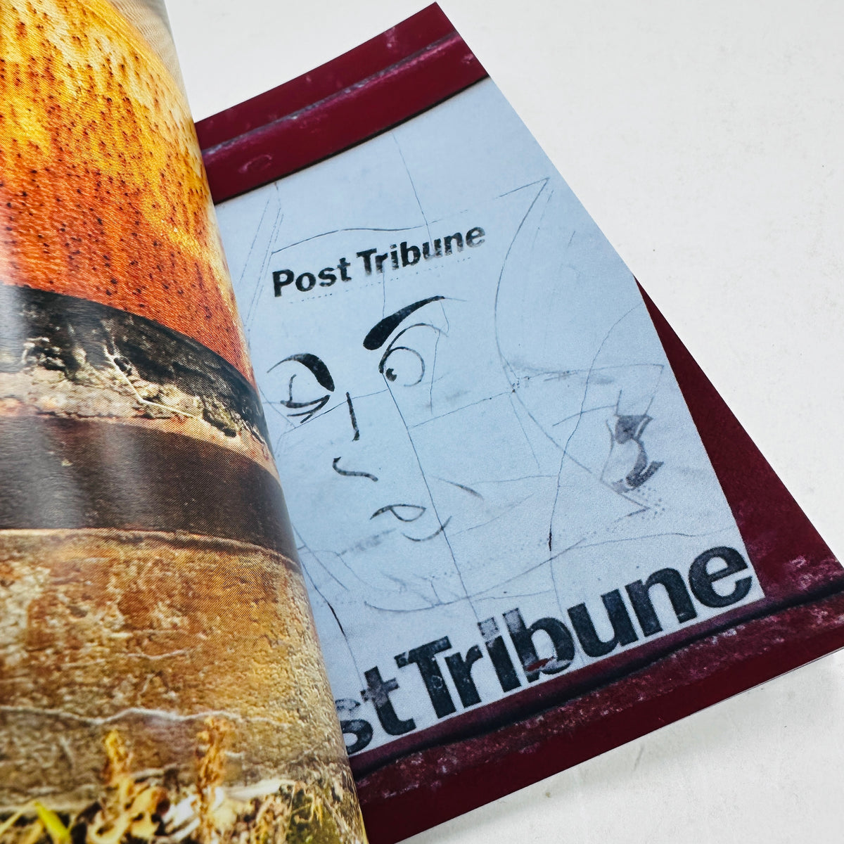 Visual Notes - Nick Ferreira