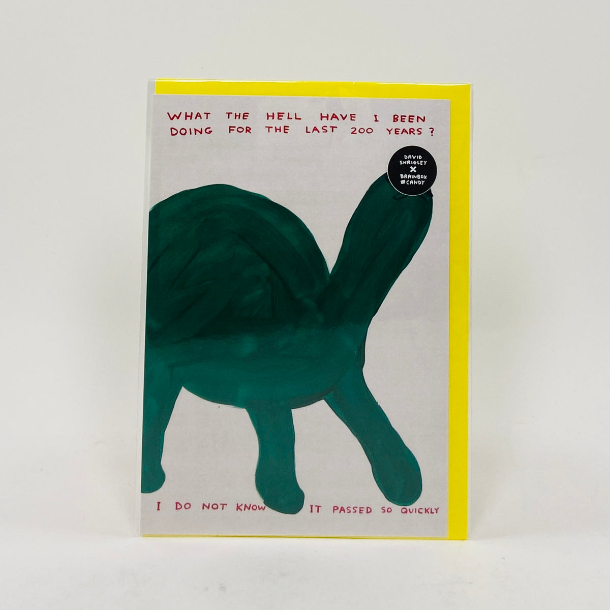 What Have I Been Doing - David Shrigley Card