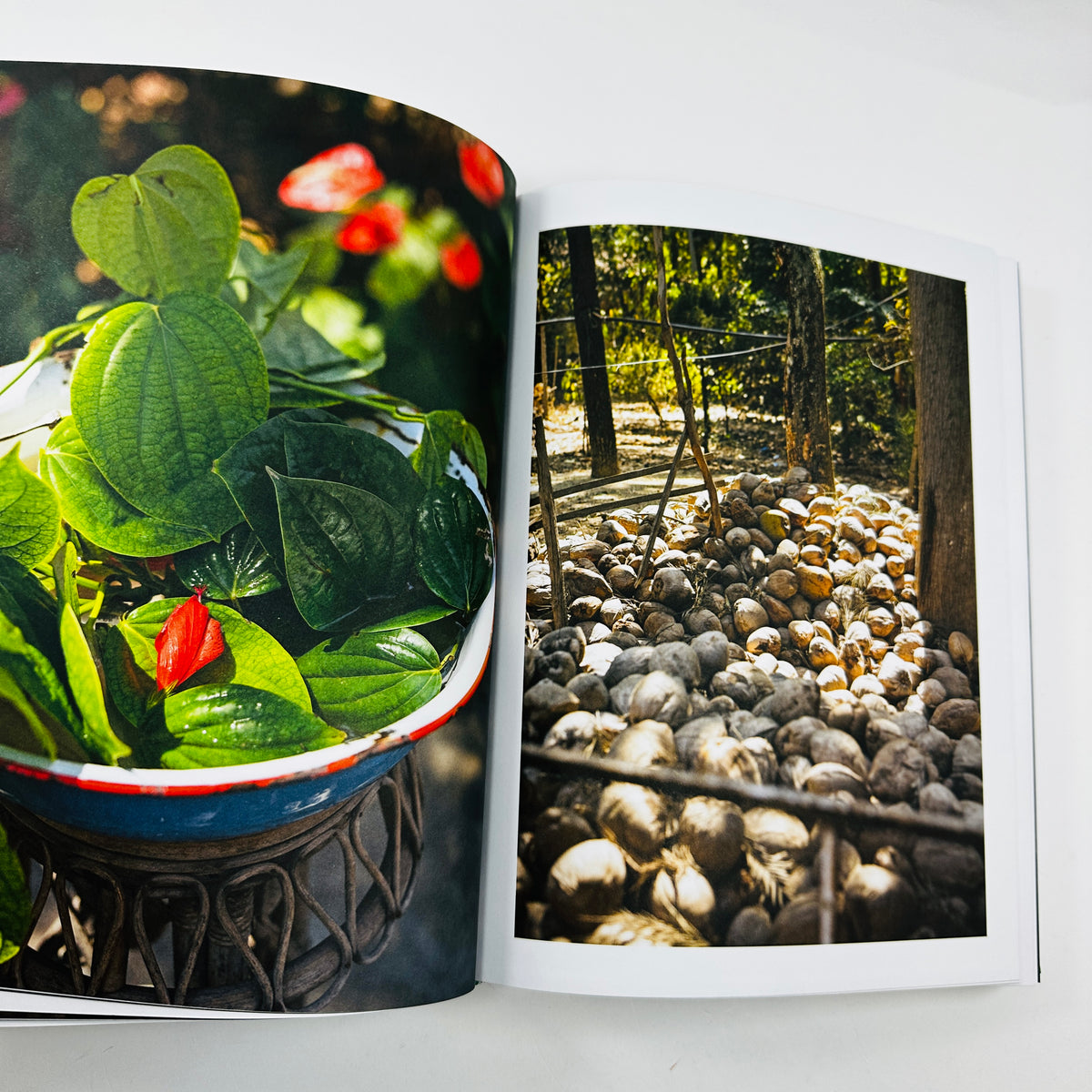 Why Cook - Timeless Recipes And Life Lessons From Inspiring Women