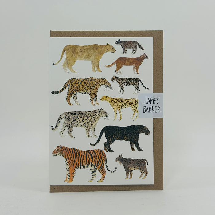 Wild Cats - James Barker Card