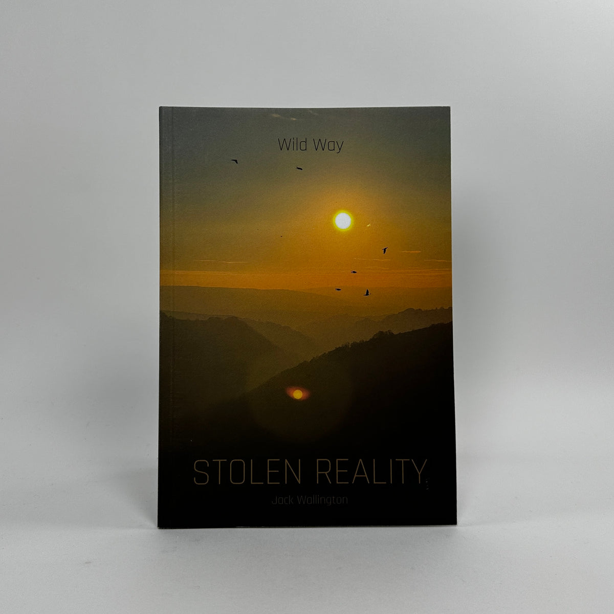 Wild Way - Stolen Reality