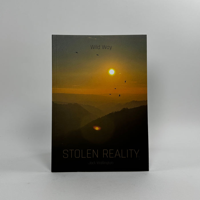 Wild Way - Stolen Reality