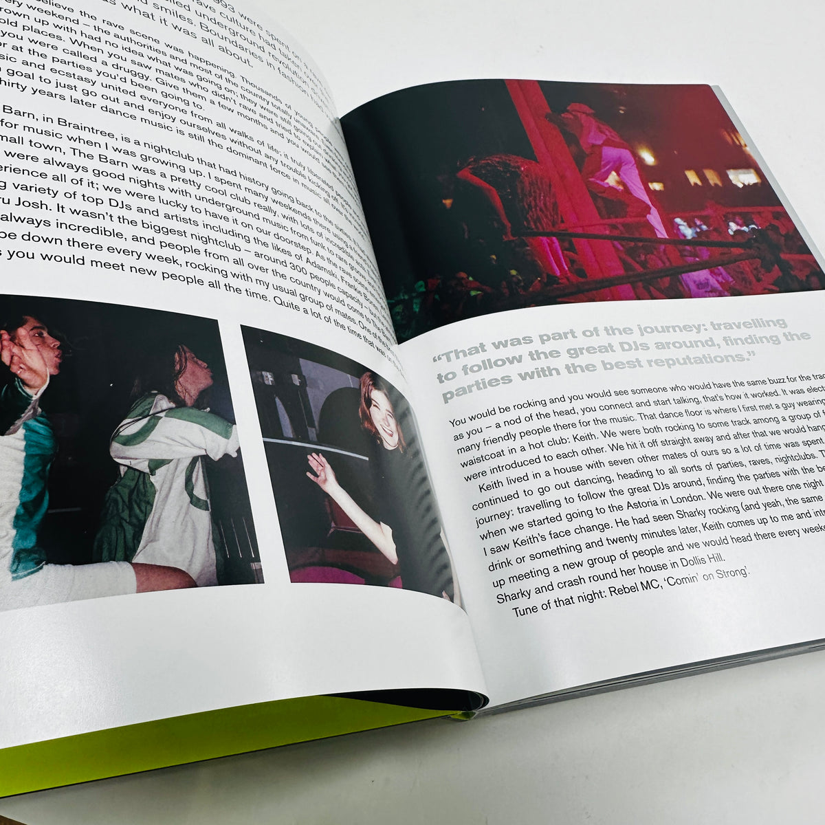 Wildfire - My Ten Years Getting High in The Prodigy