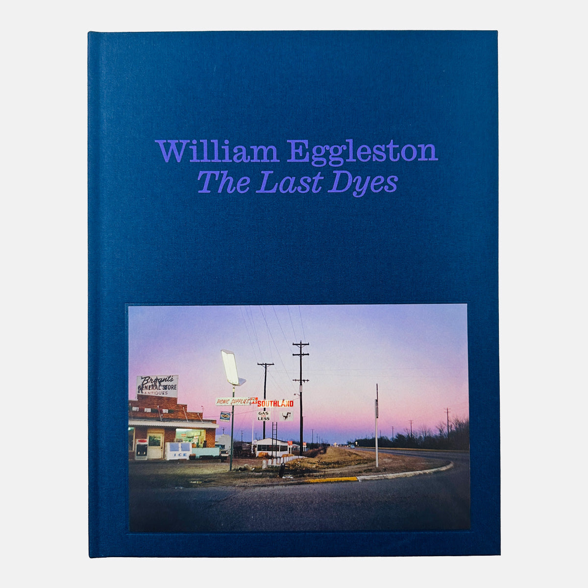 William Eggleston - The Last Dyes