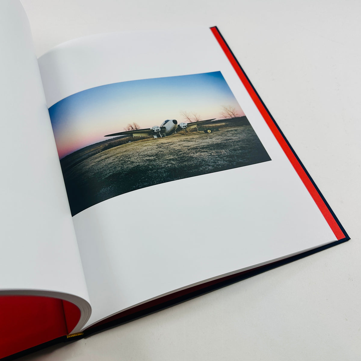 William Eggleston - The Last Dyes