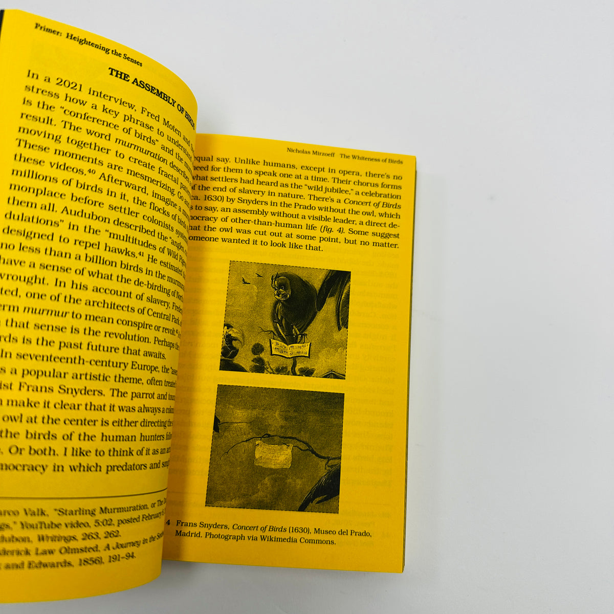 With A Bird - A Reader on Avian Kinship