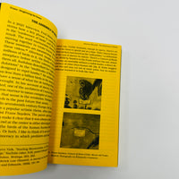 With A Bird - A Reader on Avian Kinship