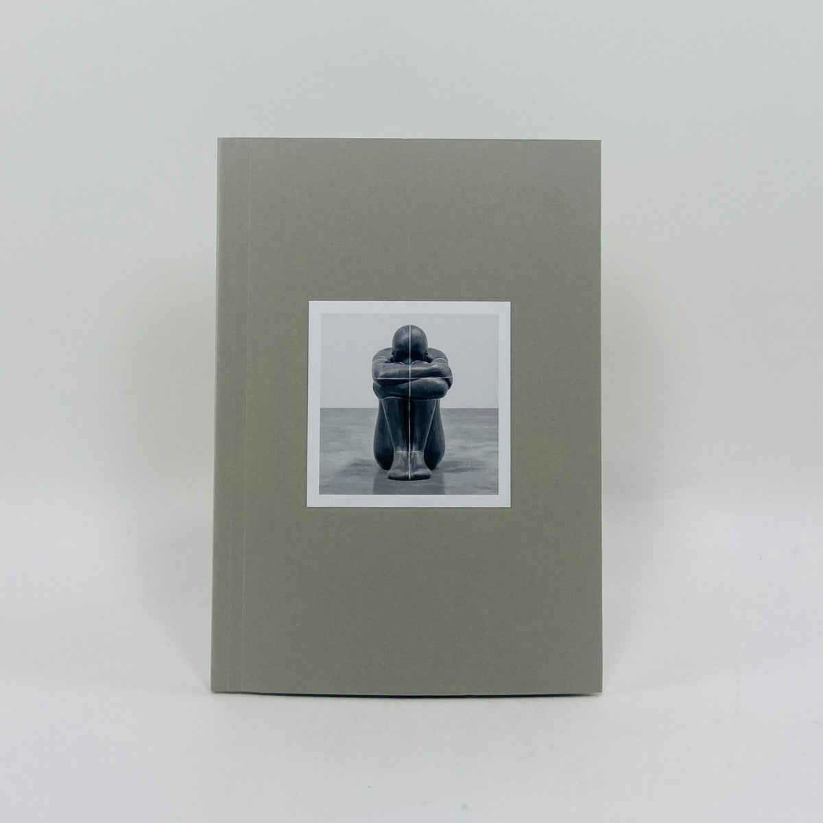 Witness - Antony Gormley