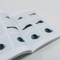 Witness - Antony Gormley