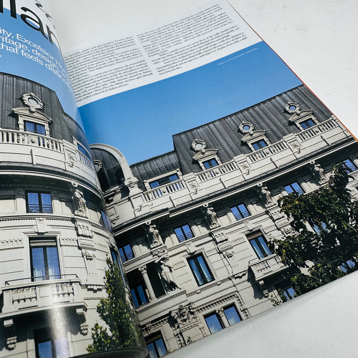 Wonderland - Winter 2025