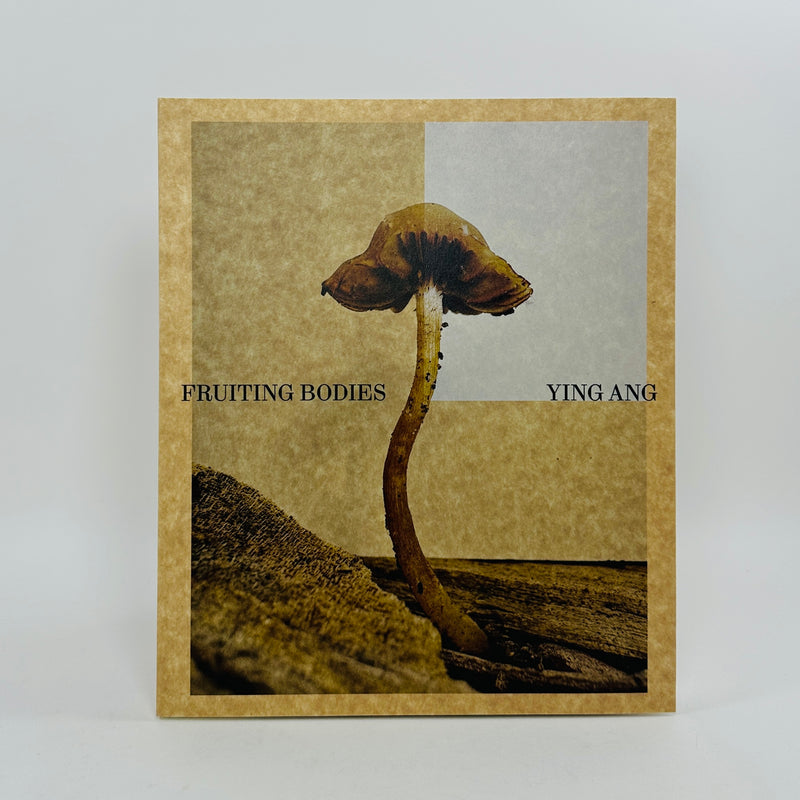 Ying Ang – Fruiting Bodies