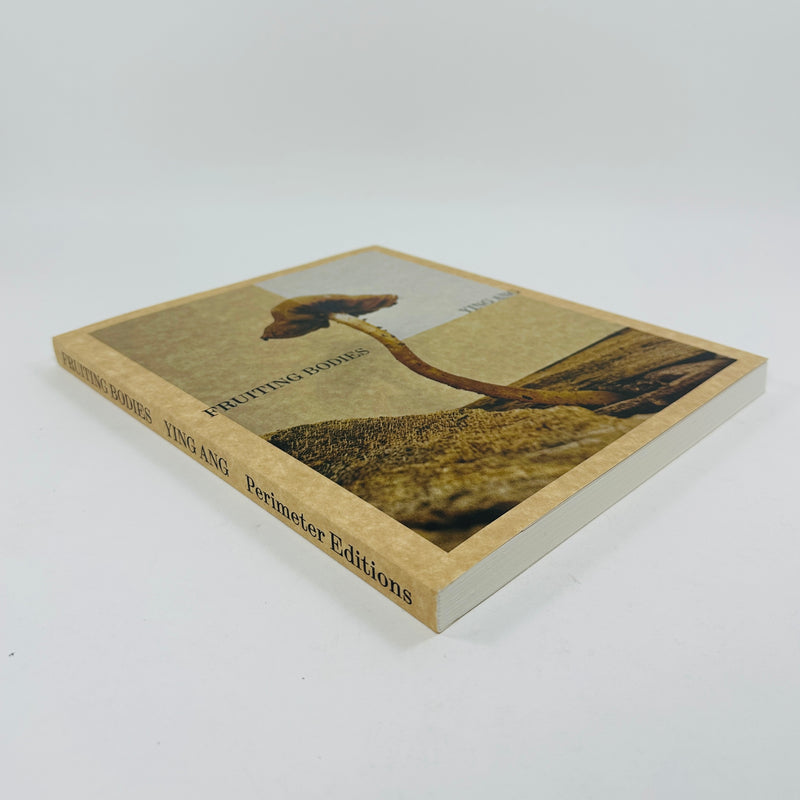 Ying Ang – Fruiting Bodies