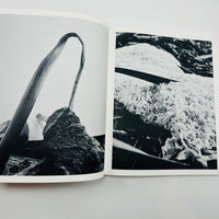 Ying Ang – Fruiting Bodies
