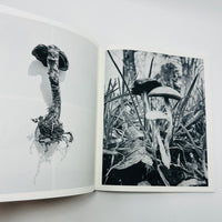 Ying Ang – Fruiting Bodies