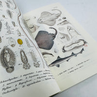 Zoologica Danica Notebook