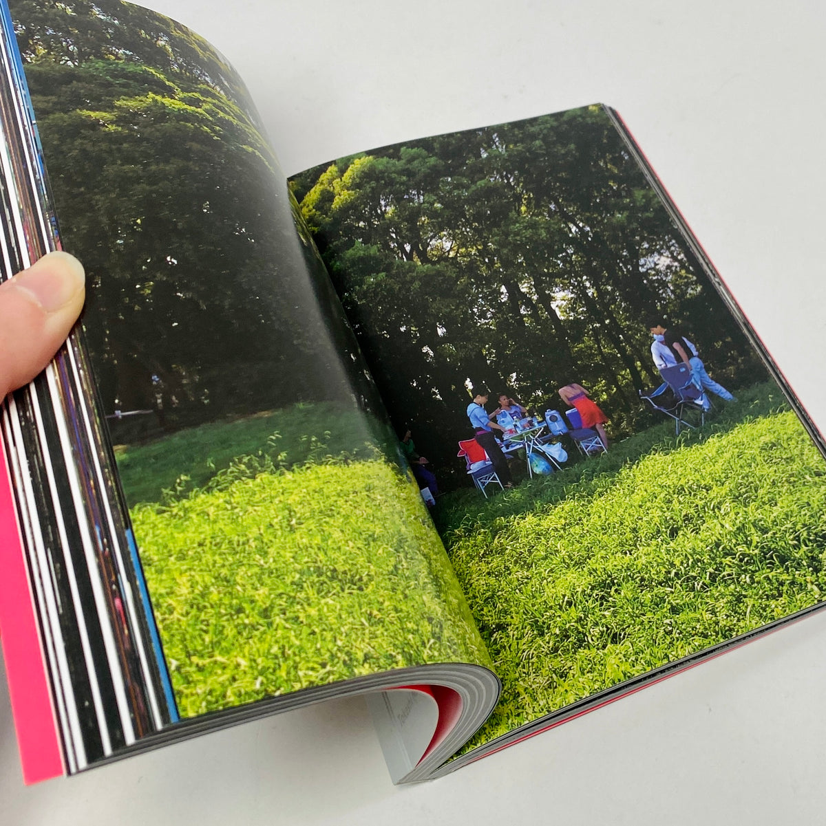 Daido Moriyama - How I Take Photographs