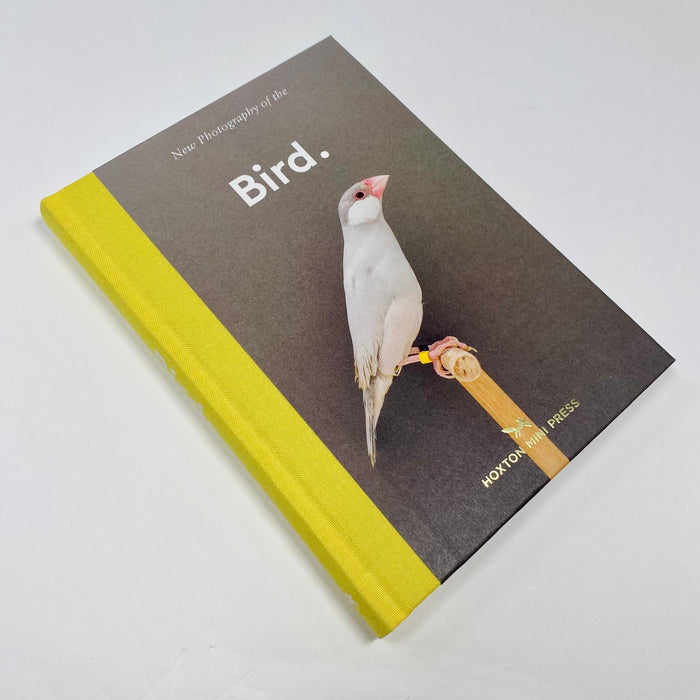 New Photography Of The Bird