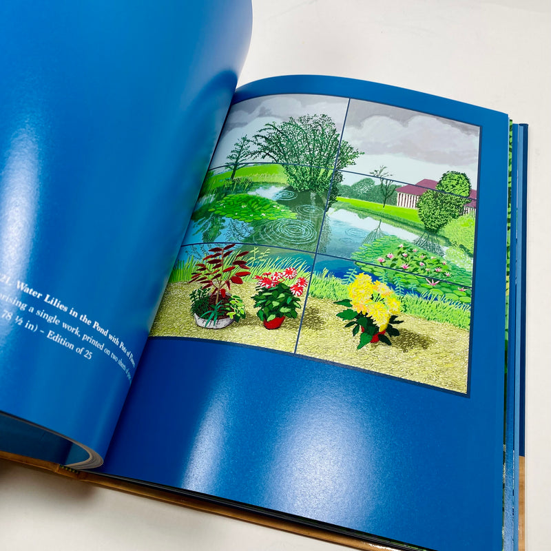 20 Flowers and Some Bigger Pictures - David Hockney