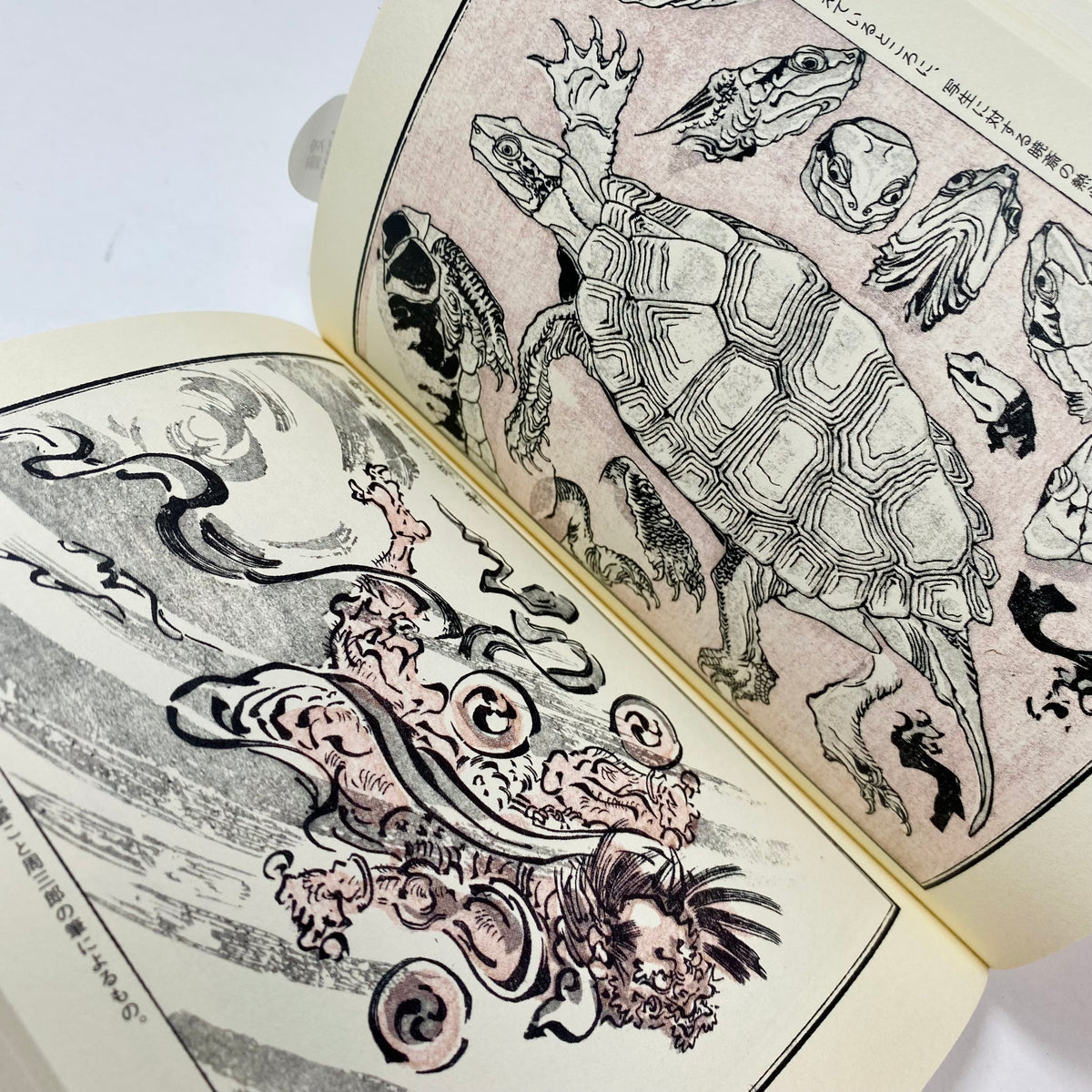 Picture Books of Kawanabe Kyosai