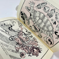 Picture Books of Kawanabe Kyosai