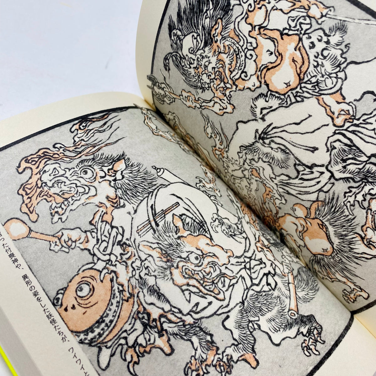 Picture Books of Kawanabe Kyosai