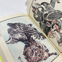 Picture Books of Kawanabe Kyosai