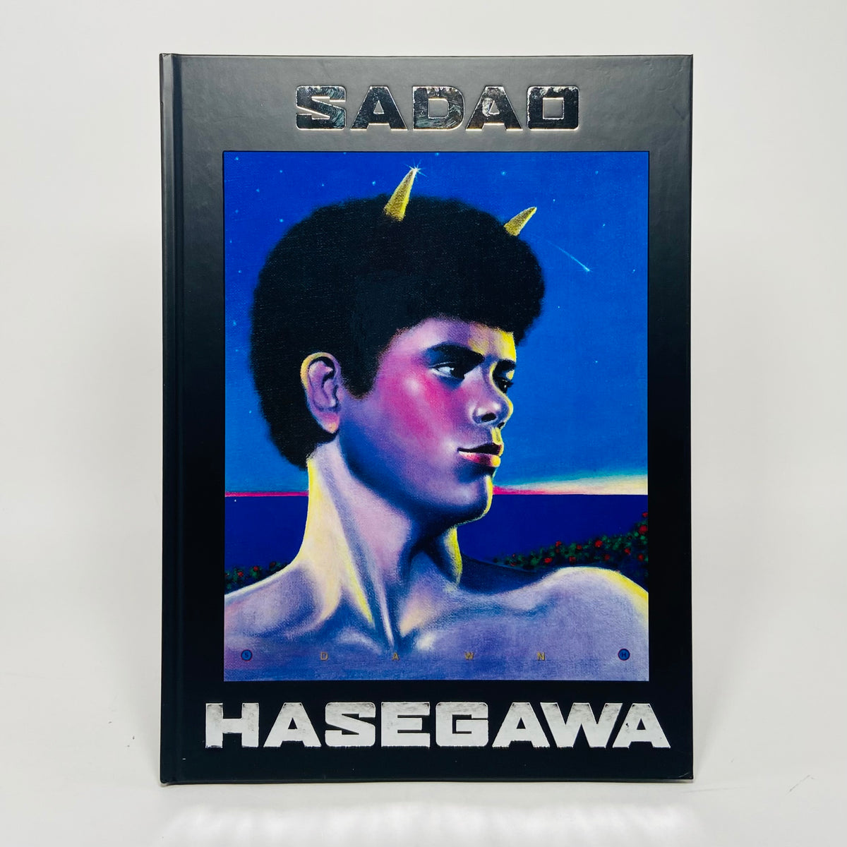 Sadao Hasegawa