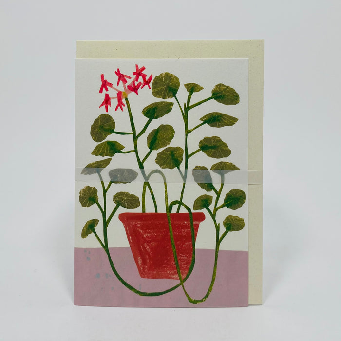 Scented Geranium - Hadley Card