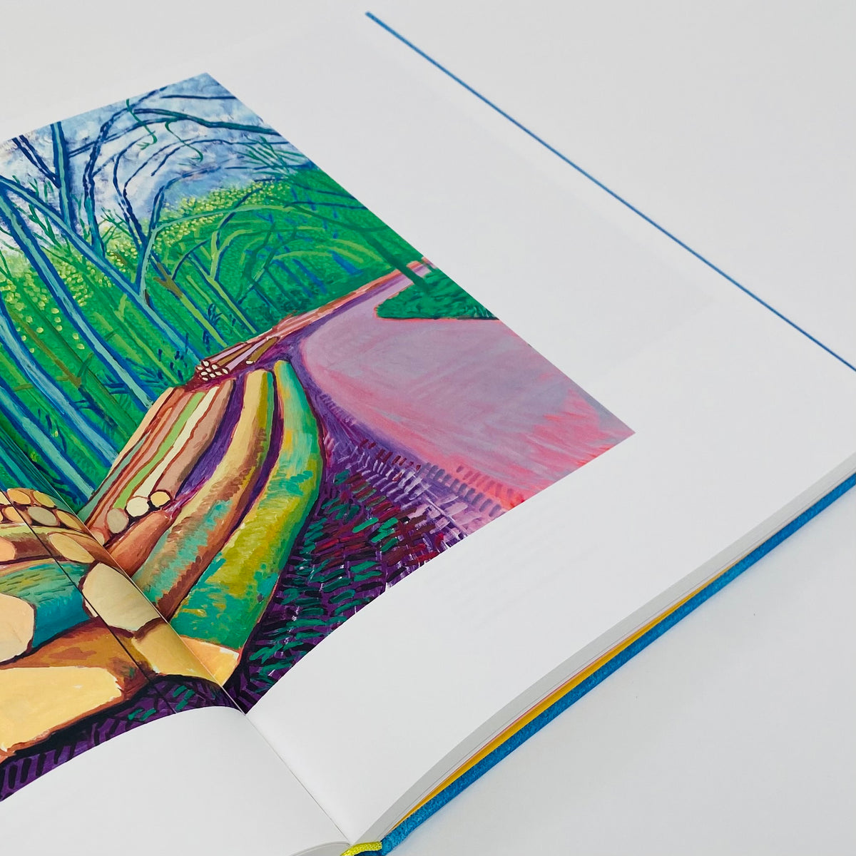 Insights - David Hockney