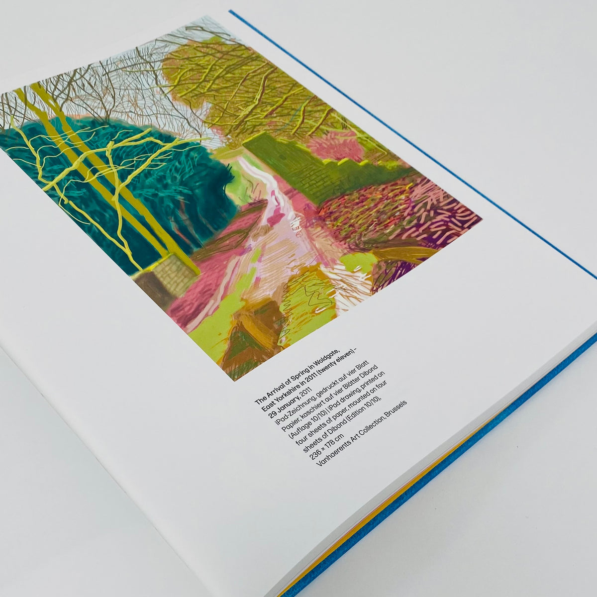 Insights - David Hockney